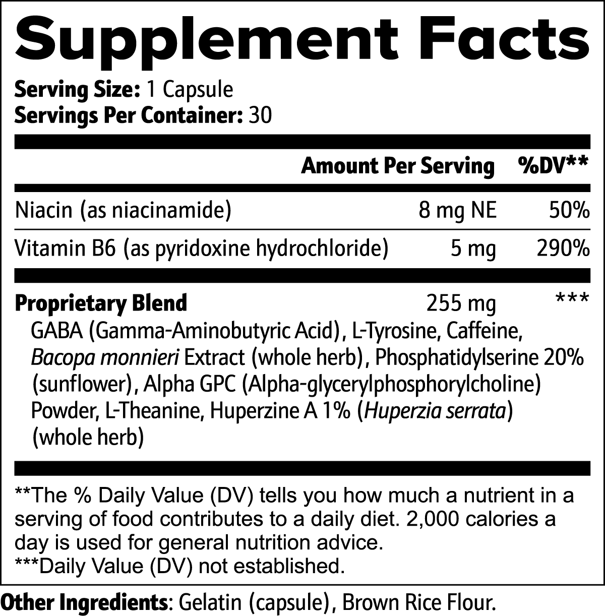 Cognitive Support – Memory & Focus Supplement by Wellness Shine