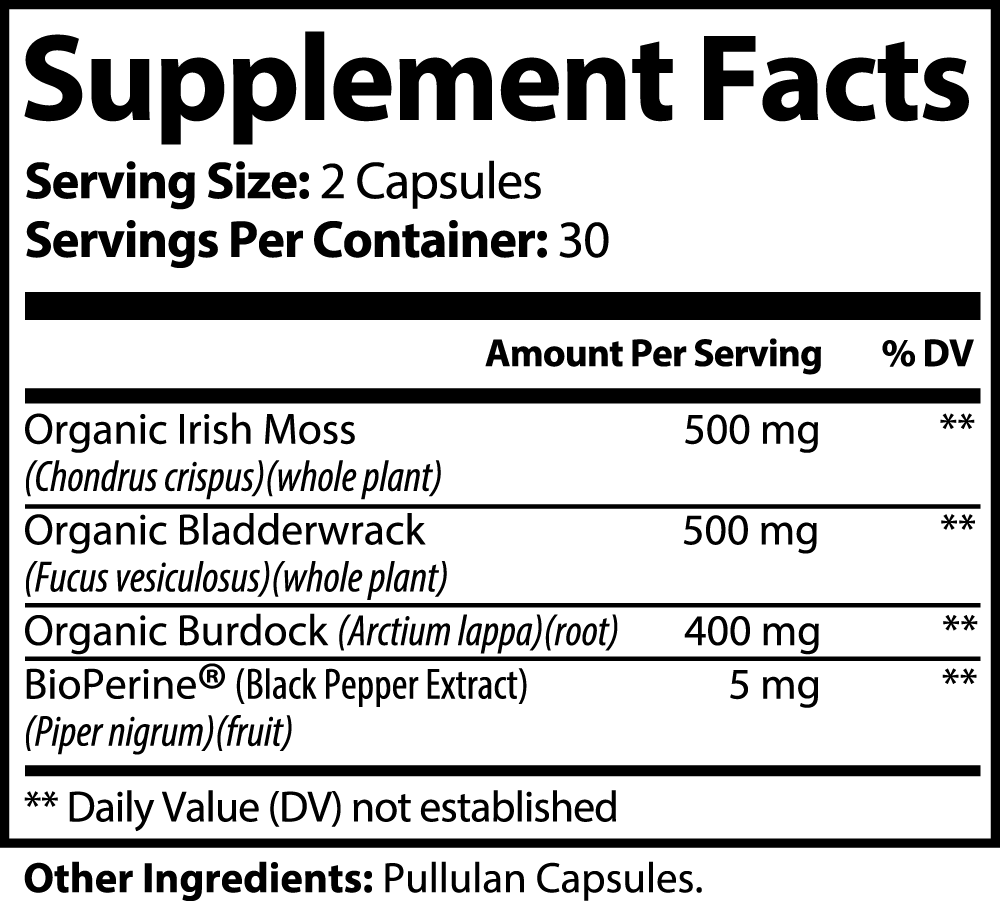 Sea Moss Capsules – Mineral-Rich Superfood Support by Wellness Shine