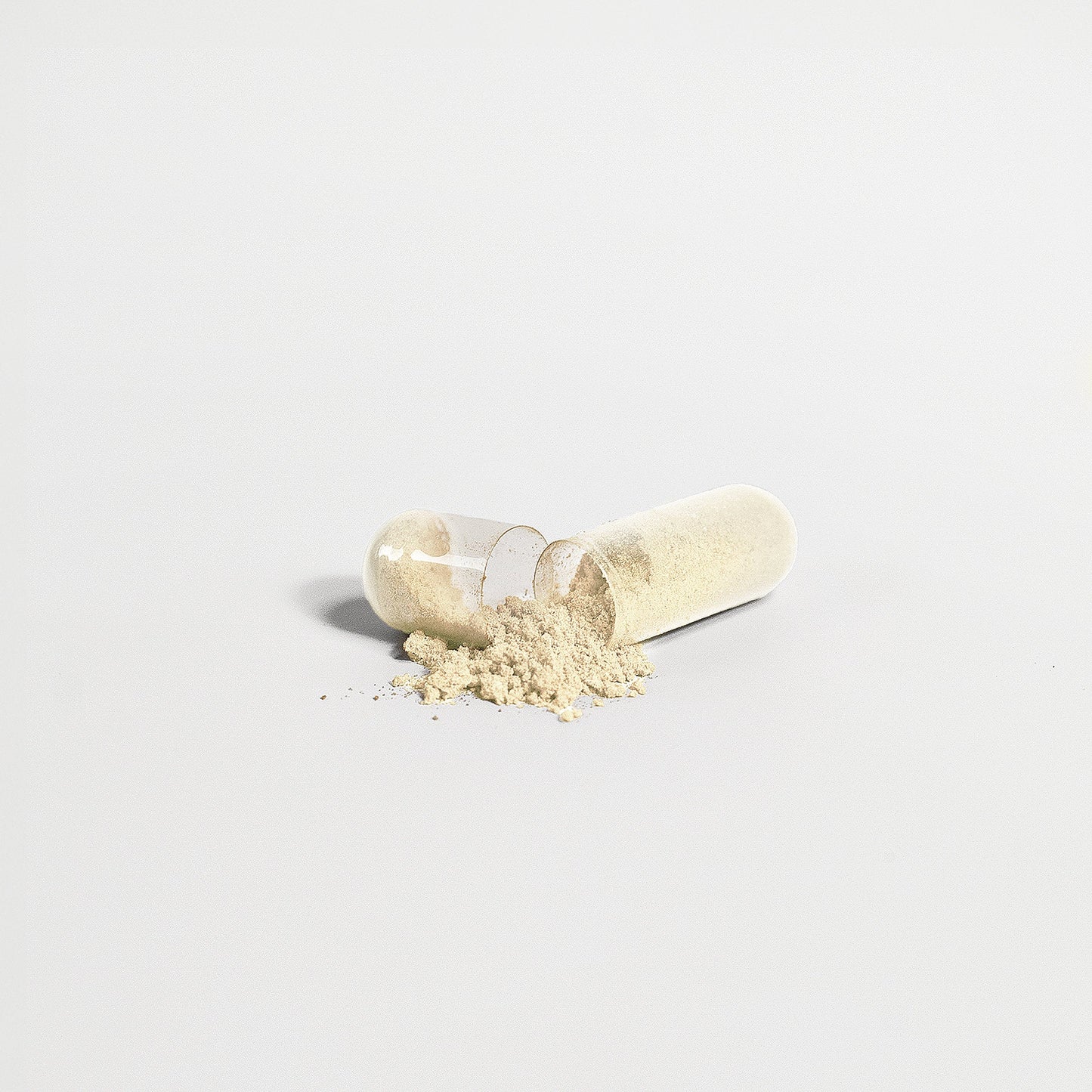Gut Health Capsules – Digestive Support Supplement by Wellness Shine - Wellness Shine