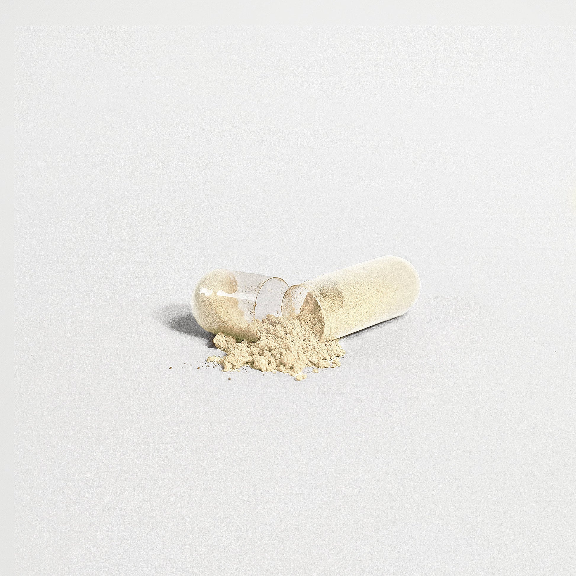 Gut Health Capsules – Digestive Support Supplement by Wellness Shine - Wellness Shine