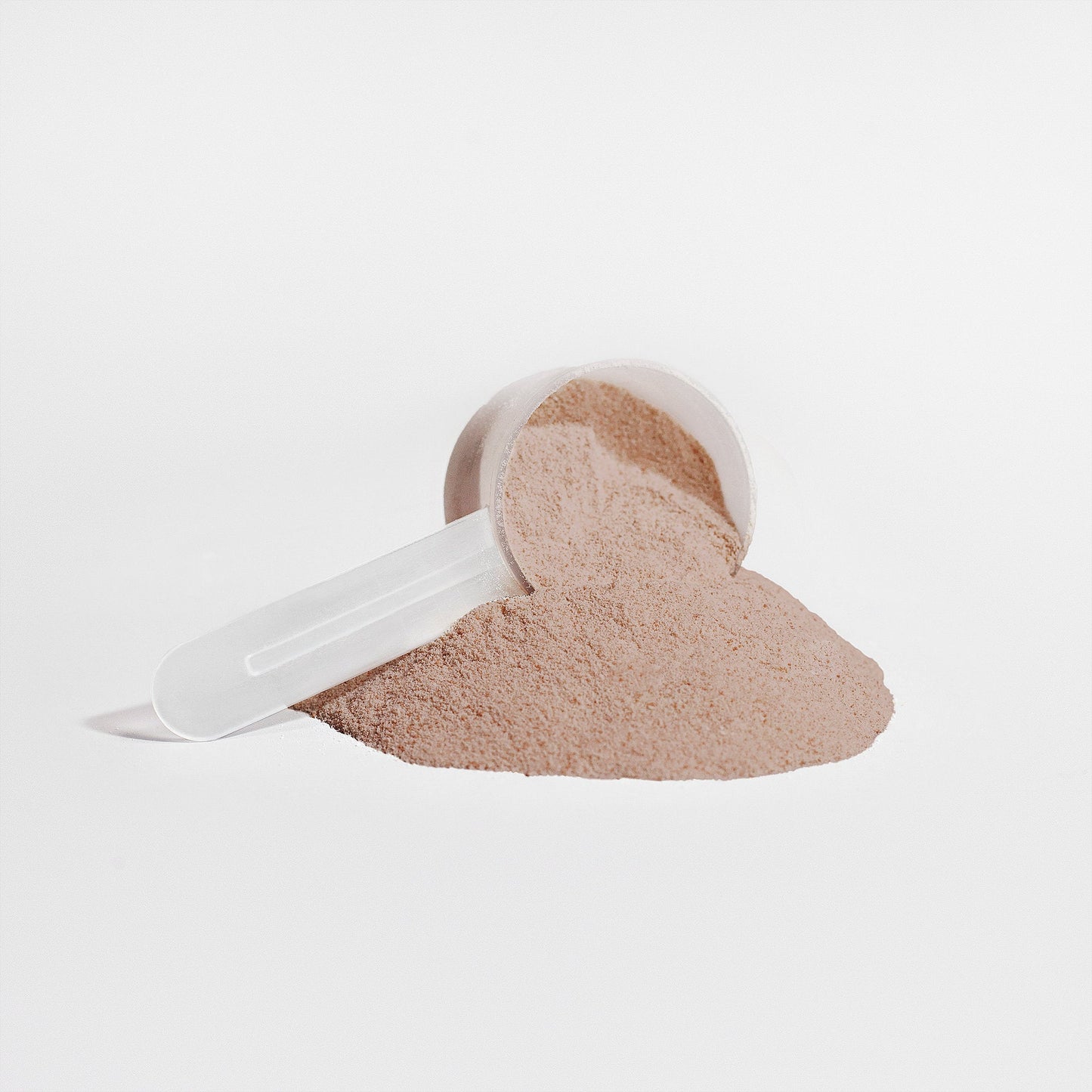 Plant Protein (Chocolate) – Muscle Growth and Recovery Supplement by Wellness Shine - Wellness Shine