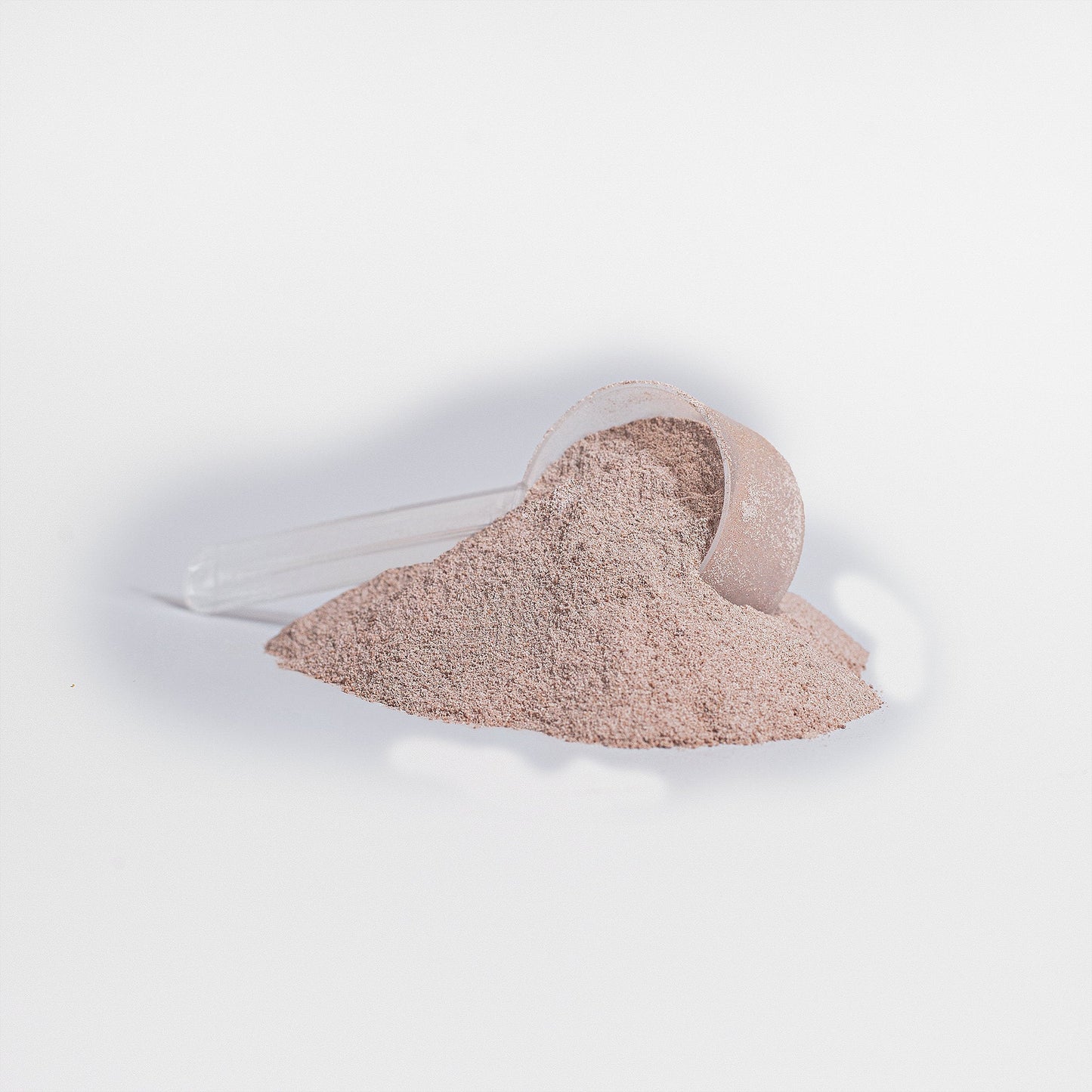 Plant Protein (Vanilla) – Muscle Growth and Recovery Supplement by Wellness Shine - Wellness Shine