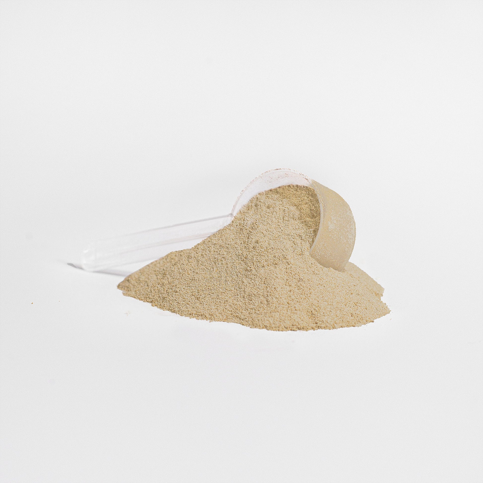 Pure3 100% Whey Protein Isolate (Vanilla) – Muscle Growth and Recovery Supplement by Wellness Shine - Wellness Shine